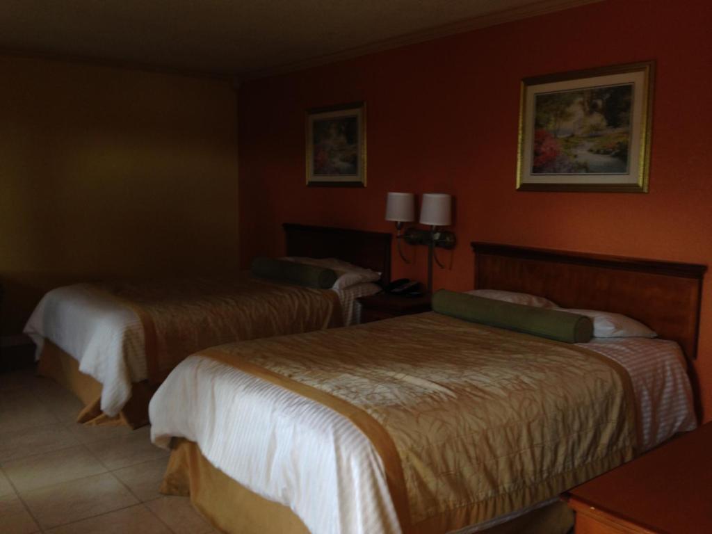 Americas Best Value Inn North Port Rom bilde